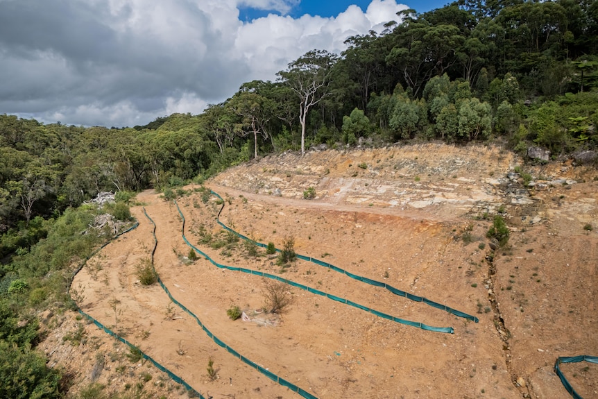 It is said that the trees on the hill were cut down on a sunny day.