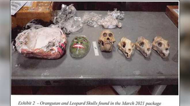 Read about wildlife trafficking arrests