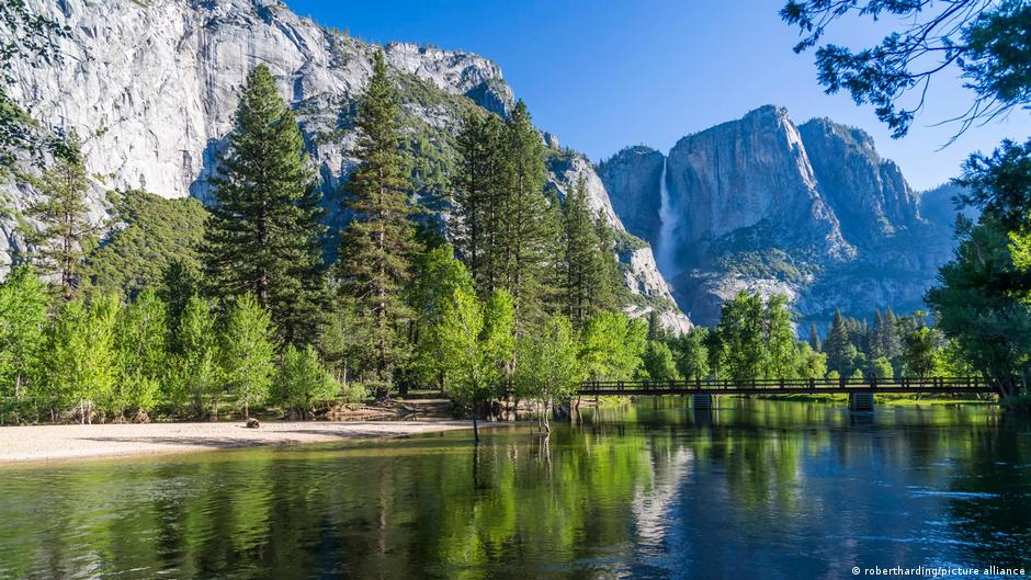 “Drill Baby Drill”: President Trump opens up the wilderness to great energy