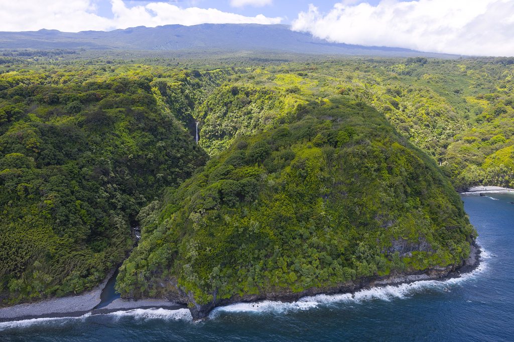 Legacy Land Conservation Grants awarded to five projects on Maui and Molokai | Maui Now
