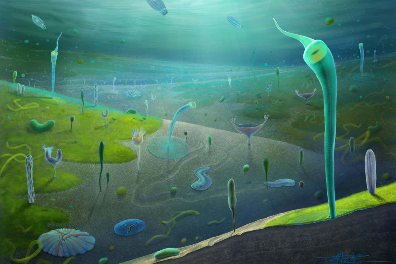 Surprising fossil discovery sets back the evolution of complex animals