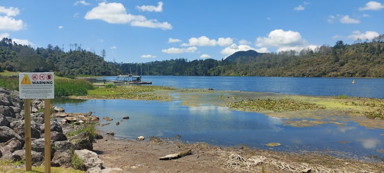 This image shows green sludge in the Waikato River with official warning signs.